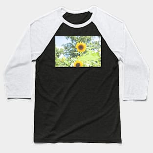 Sunflower Baseball T-Shirt